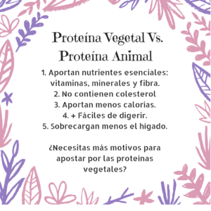 Proteíba vegetal vs proteína animal